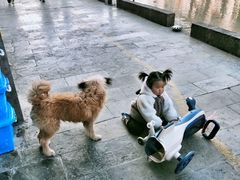 -古城苗家土菜馆(河景餐厅店)