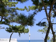 -威海国际海水浴场旅游区