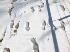 -钟山体育运动公园
