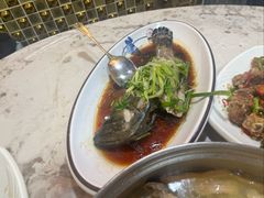 清蒸老鼠斑-富来美食(成发大厦店)