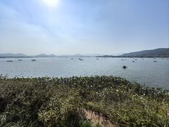 -湖畔居茶楼(湖滨店)