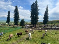 -新疆那拉提国家旅游度假区