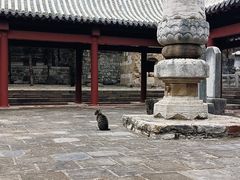 -四门塔风景区
