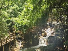 -海南霸王岭国家森林公园