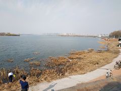 -丁香湖公园