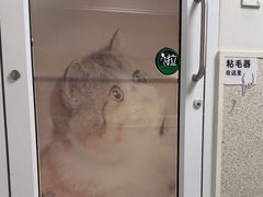 -谐和贝康宠物医院24小时·宠保定点(急重症转诊中心)