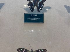 -陕西自然博物馆