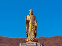-中原大佛景区