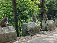 -黔灵山公园