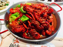 -杨氏青龙虾·羊蝎子(金盛路总店)