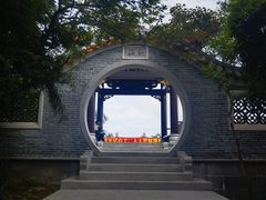 -野狸岛