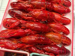 -虎虎龙虾大排档(双井店)