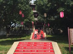-白马涧龙池景区
