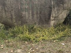 -范蠡湖公园