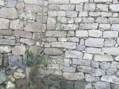 -原山国家森林公园