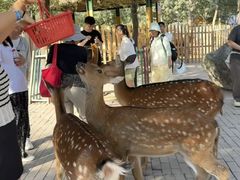 -水上乐园·欢乐世界