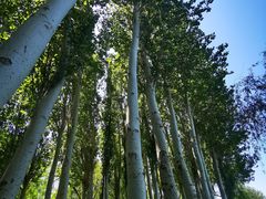 -万柳高尔夫俱乐部