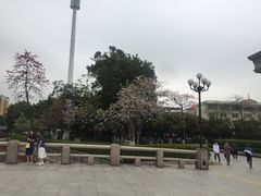 -花都广场