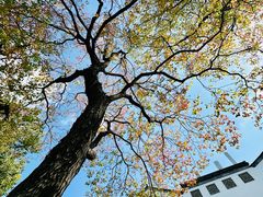 -万达影城(银兴菲林店)