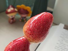 -二斗栗子(黄河道店)