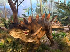 -陕西自然博物馆