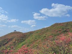 -大围山国家森林公园