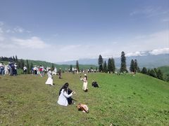 -新疆那拉提国家旅游度假区