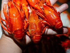 -虾乐园龙虾·夜宵(松江店)