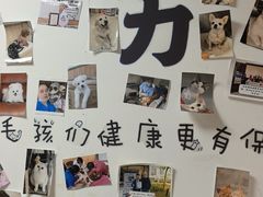 -宠福鑫动物医院(城北分院)