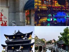 -盐城丹顶鹤湿地生态旅游区