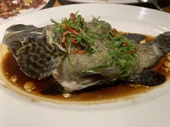 清蒸石斑鱼-泰华海鲜中餐厅(普吉镇店)