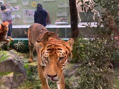 -国家自然博物馆