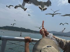 -海驴岛(荣成市)
