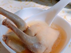 -百利鸽王(紫薇路店)