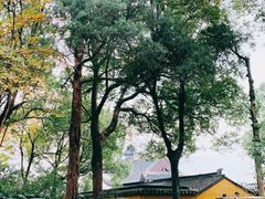 -灵岩山风景区