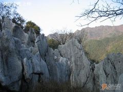 -千岛湖石林