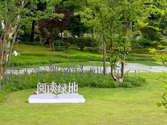 -和平公园