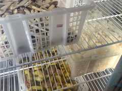-双喜农庄·菌香园(安居家园店)