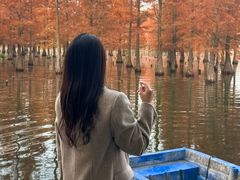 -白鹭湾湿地公园