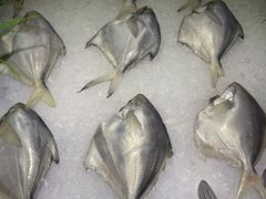 -鼎级香· 火锅烤肉自助丨涮烤一体(蜀山唯品会店)