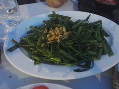 -越海渔村