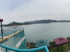 -望湖烤鱼