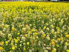 -丰收渔港饭店(嵊泗店)