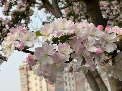 -长椿街(地铁站)