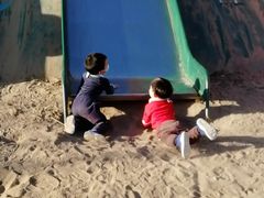 -大兴滨河森林公园