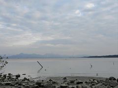 -深圳湾公园(南山区)