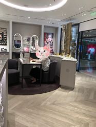 -法国娇兰精品店