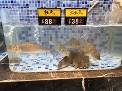 -满汉楼(江畔店)