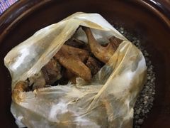 -新荷花世界