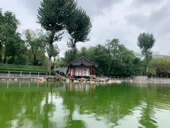 -莲湖公园
